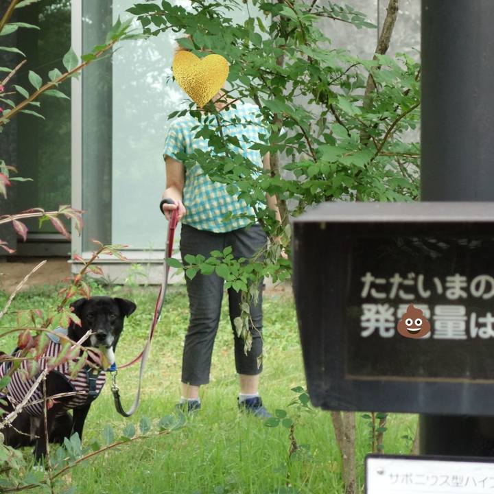 C167fa0c 0a20 4214 aa83 095779435789 1722987454621