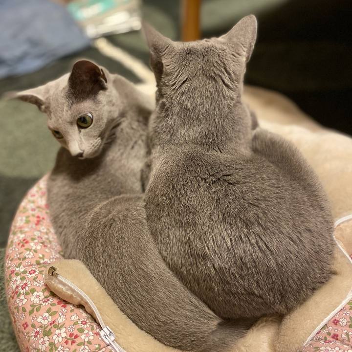 C168197a 9f01 45f8 b6ab 0df3c7ece527 1634893059029