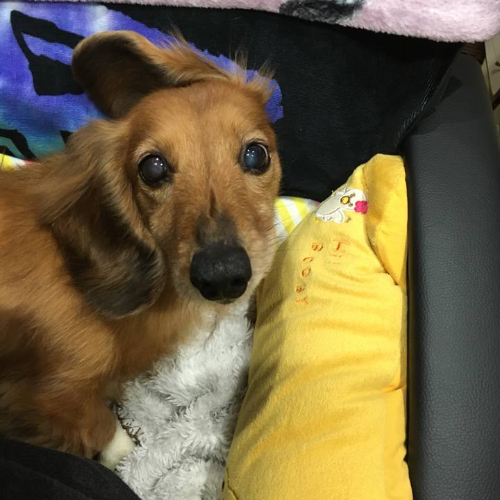 C168299f dd51 4042 b4ac e72a6bcbfc02 1587646895048