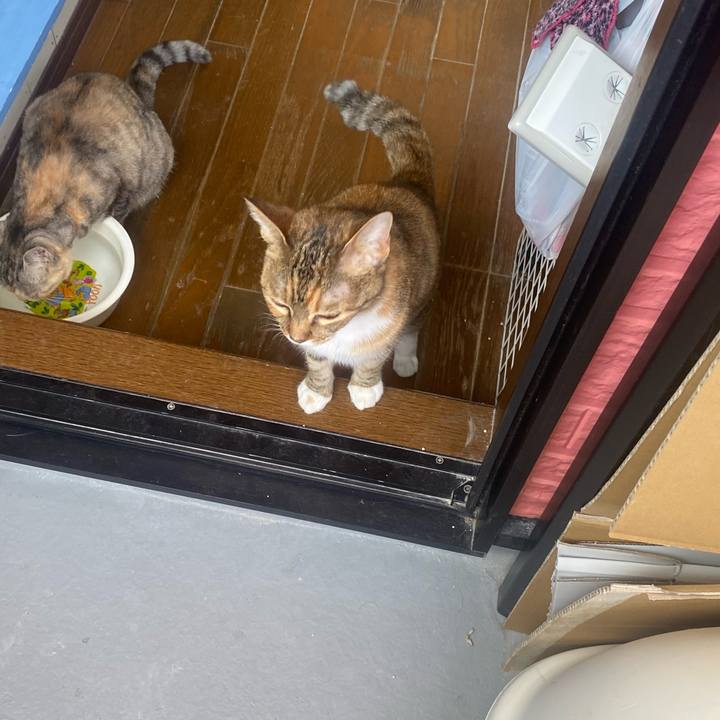 C1682f53 38a2 416b bf0f 9bd3f6e16974 1622334958616