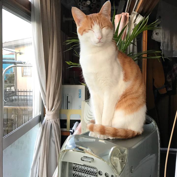 C16840f6 85d0 42be ad15 b0feabd62b08 1511041889149