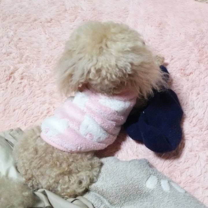 C1685b43 3f4f 4e81 b5cd efe2578dfe41 1548248312988