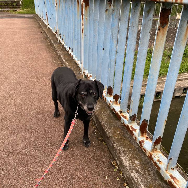 C1687e0f 2650 4924 966e 143284fd4994 1623251548898