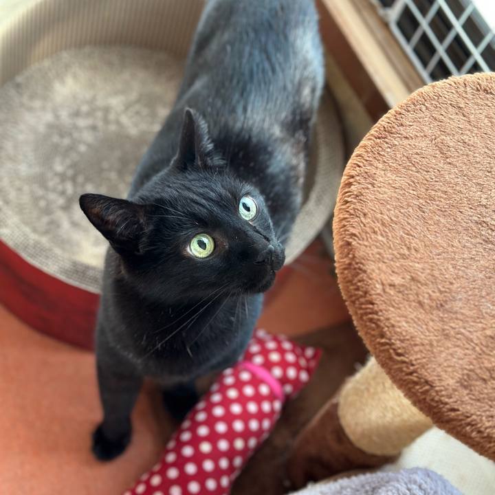 C1688e2d 2878 4f43 806b 6191488cdb5c 1681612203307