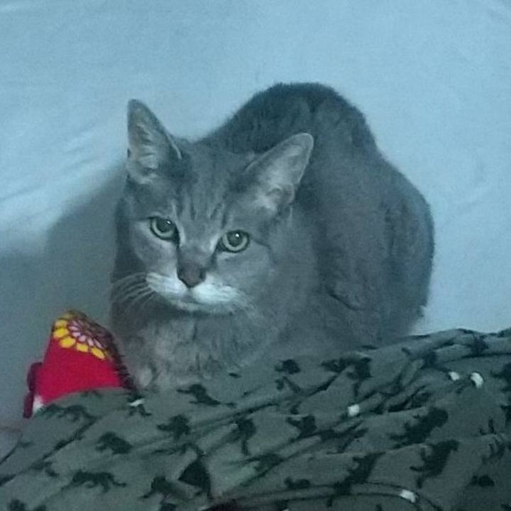 C168a57a d369 46c5 9401 e265ba2e2dd8 1684072950824