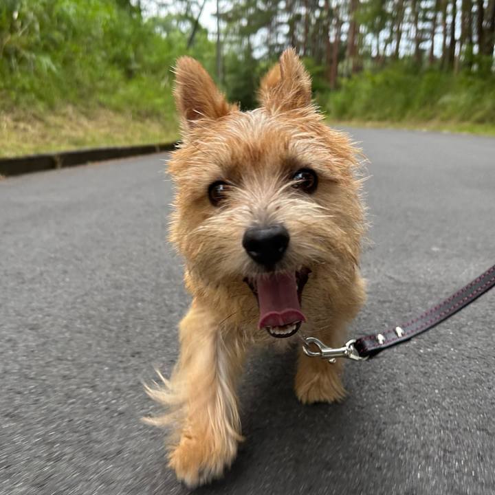 C168d18c db12 4cd5 9279 b3ea92045325 1722780707525