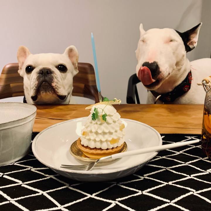 C169143a 0d8d 47a8 b611 6c495c0167ad 1609830212852