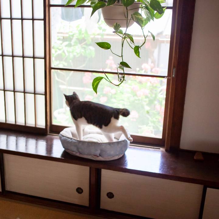 C1691f58 79d4 46be aafd 9e6c2f459b32 1590809025841