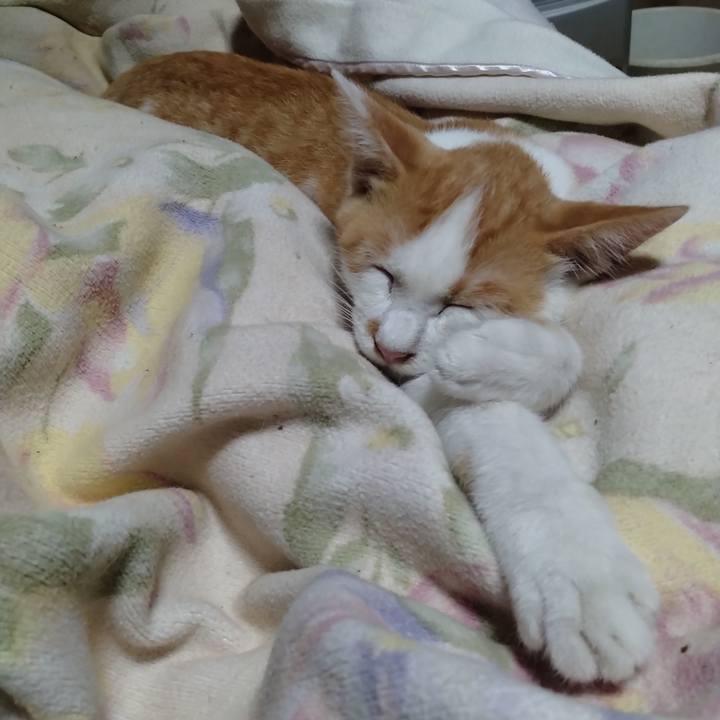 C169352c 3076 4b05 80fc a5fc71a3f88c 1729341696118