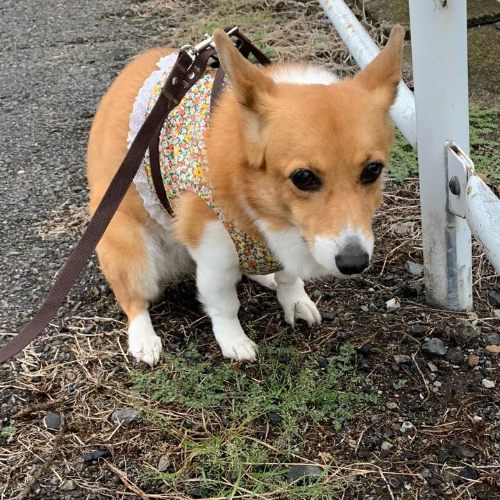 C1693c7e 00fa 4fda 806f 0a931bd865c3 1634111478852