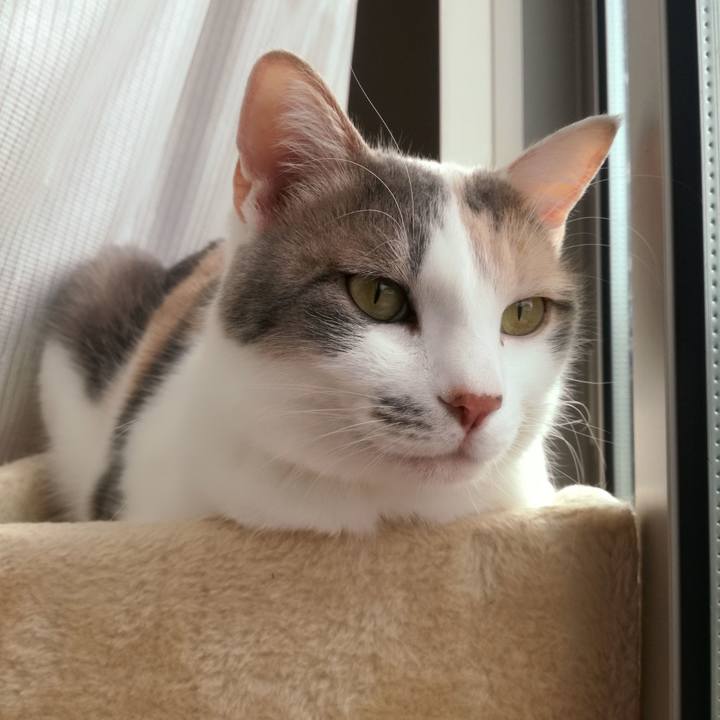 C169982a 77a3 4f00 a72c 2c73783fff93 1550811299738