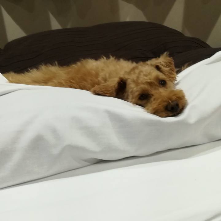 C169cca4 87f8 4a44 9151 e6db314afe56 1566114835928