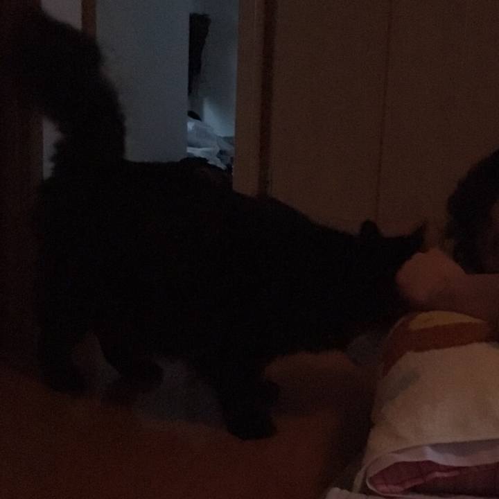 C169d932 ab20 4974 a603 26f41cbd7aae 1513554183318