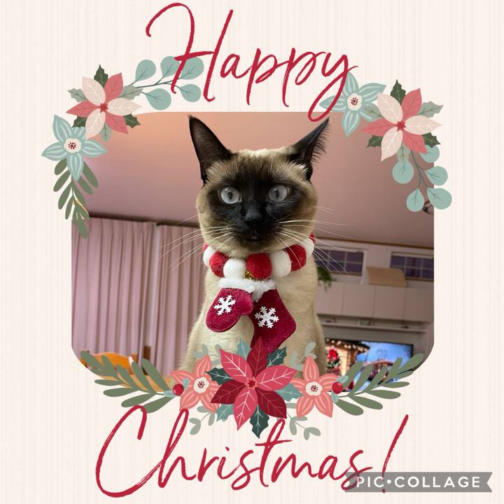 C169e232 e529 4077 8899 5c749cd7c70e 1734983859756