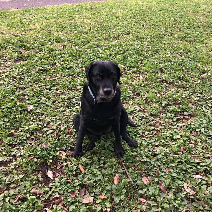 C16a152a af29 498b b063 9c5ace90c35f 1543213052019