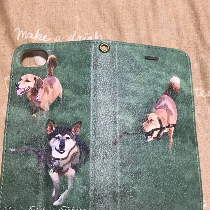 C16a6dd0 2ef8 49c2 8d61 df451103f8be 1551772690942