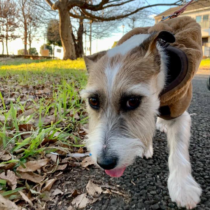 C16a8152 5a35 49aa 8ab7 6add30290013 1672396941368