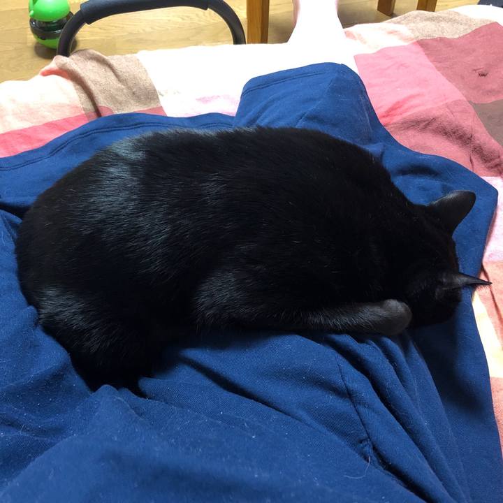 C16aaf28 6ed0 4c16 ac06 0af49e42ba26 1709550908857