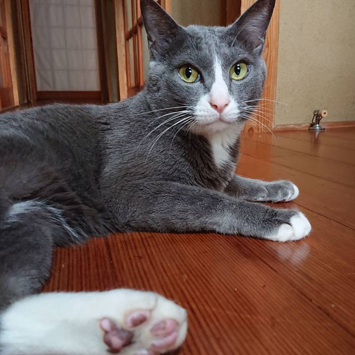 C16ae2a2 ba42 46d5 a49b ff9066d988b6 1559635579926