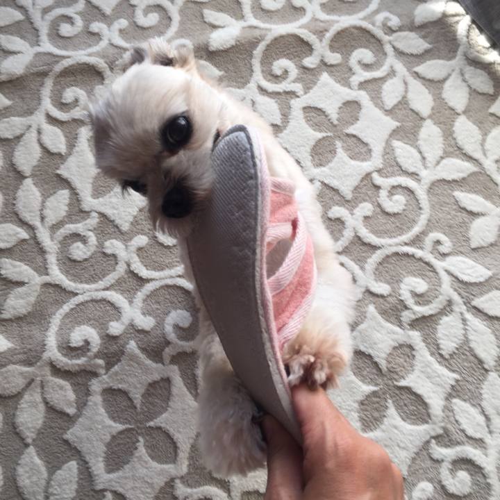 C16af191 2202 4b09 bb6b 27ca9aa49c1d 1541221941995