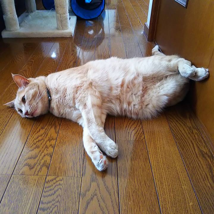 C16b2e8b 6171 4bb8 b254 ace1922b577c 1627771600796