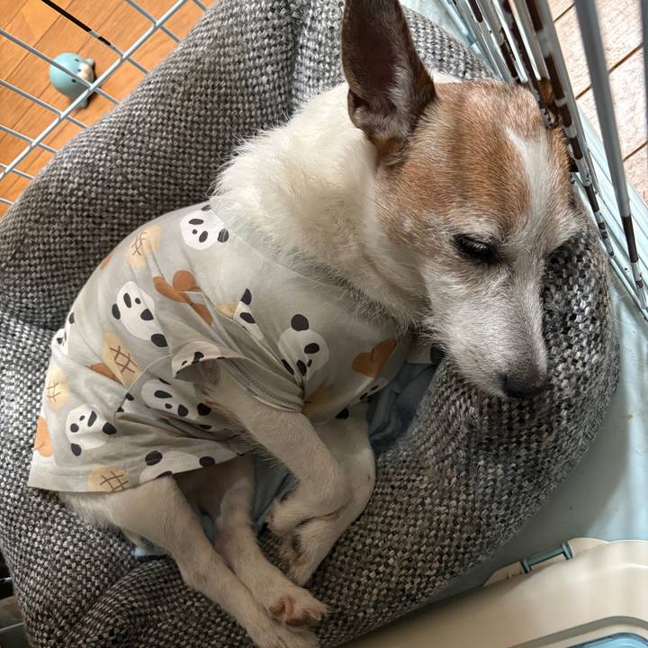 C16b4f65 65b3 4c89 af7c f6f7217f24e5 1754176130454