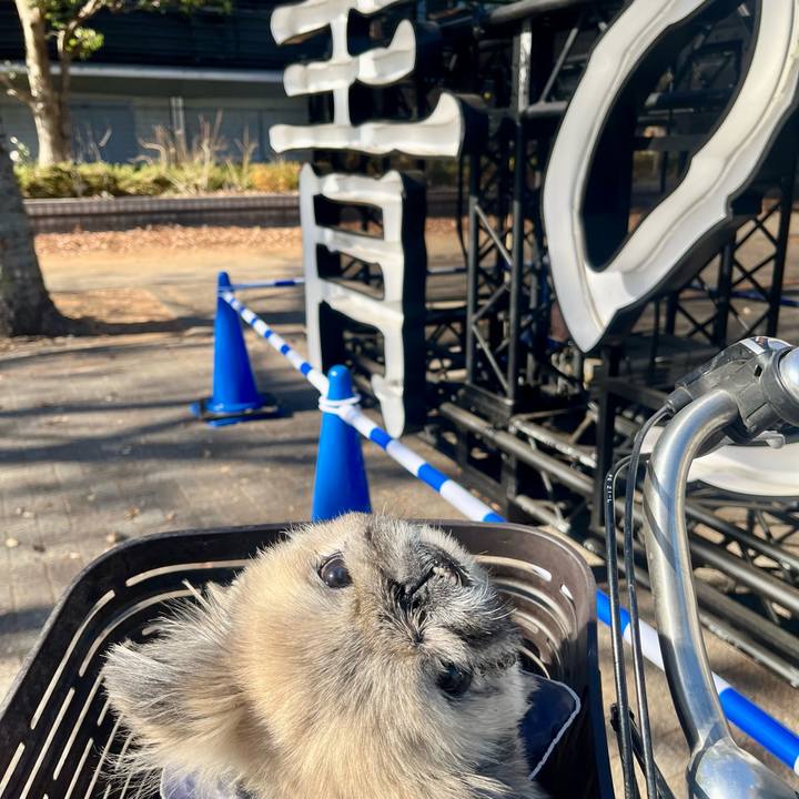 C16b604e b9e0 4be1 9c4f 1c2c62115bfb 1765507158780