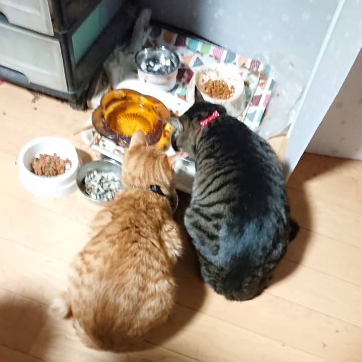 C16b664d 60b5 4207 94ad f3d1e0043660 1641415541656