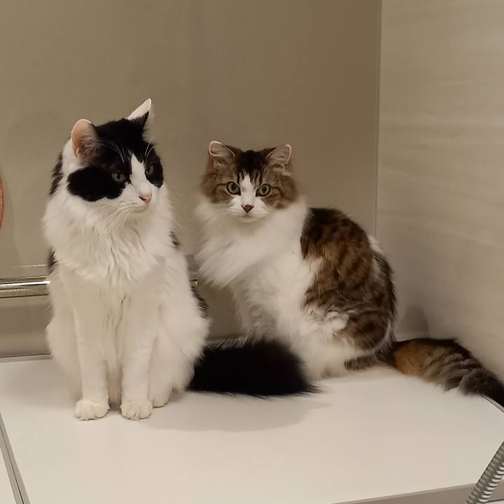 C16b9fa6 261c 4f21 9c81 798d3753b366 1667732125401