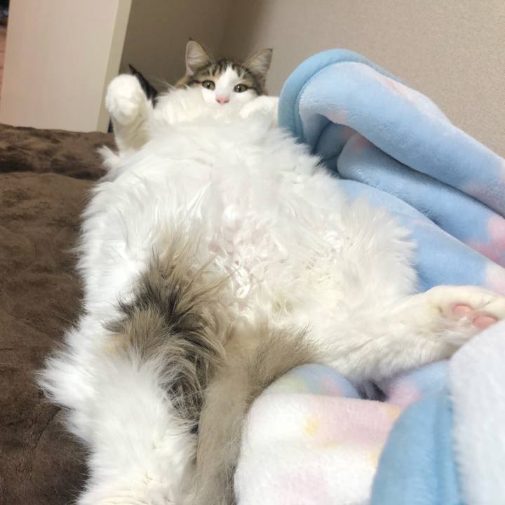 C16bcff4 4c24 43eb a2a9 fac84c74d2c1 1538303475196