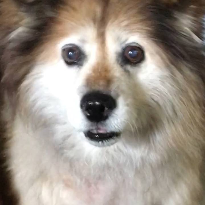 C16be403 fec2 40fd b567 02b294158a87 1633116047233