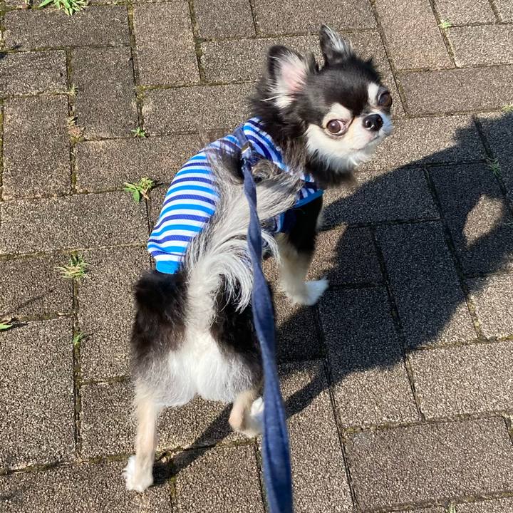 C16c0d81 d1f6 42c5 8cfb 707d3989d533 1687660146582