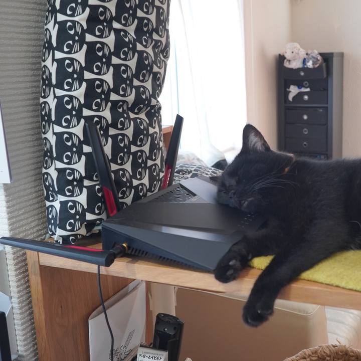 C16c2d60 290a 44f5 a0c6 7ed065d1112f 1599783457241