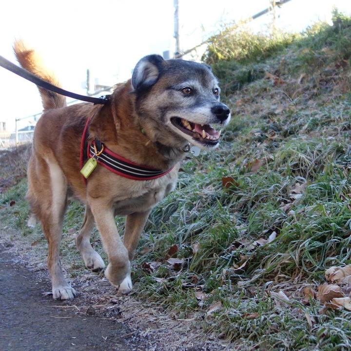 C16c3a94 144d 45f9 bea8 98a5427800be 1549070640035