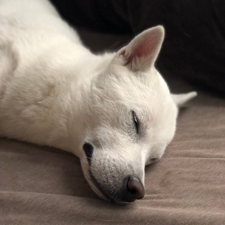 C16c4573 13e6 44d3 922b b5926ce406c2 1591329529000