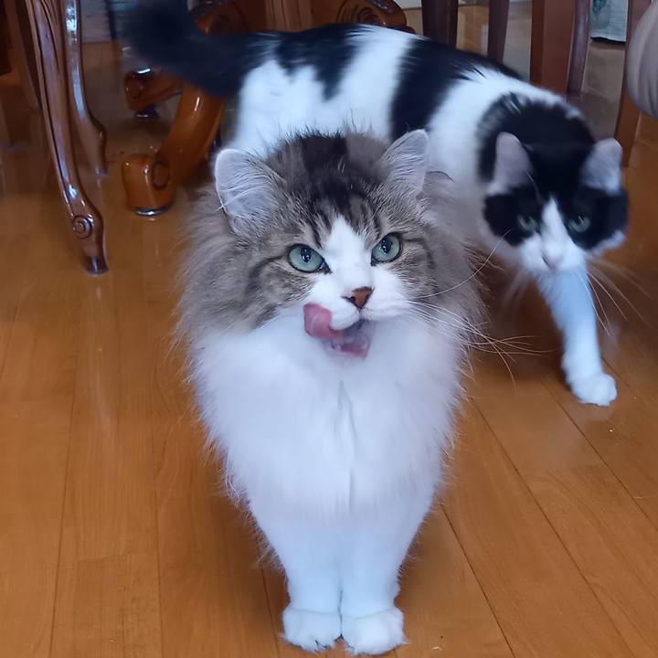 C16ca626 999d 4307 8fbf 4b6526857d9b 1682426508187