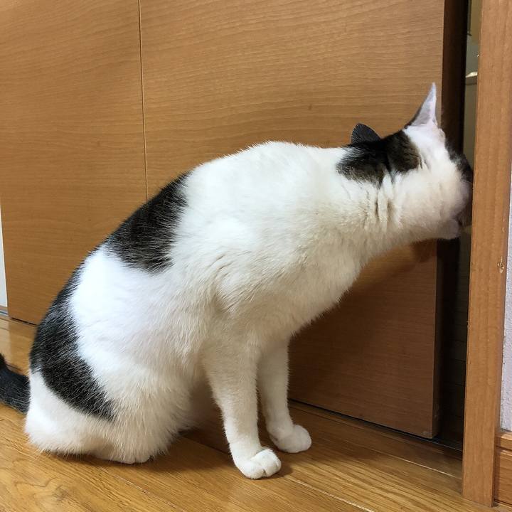 C16d2a57 6761 4832 b8cb ef0d32a41b69 1638620613708