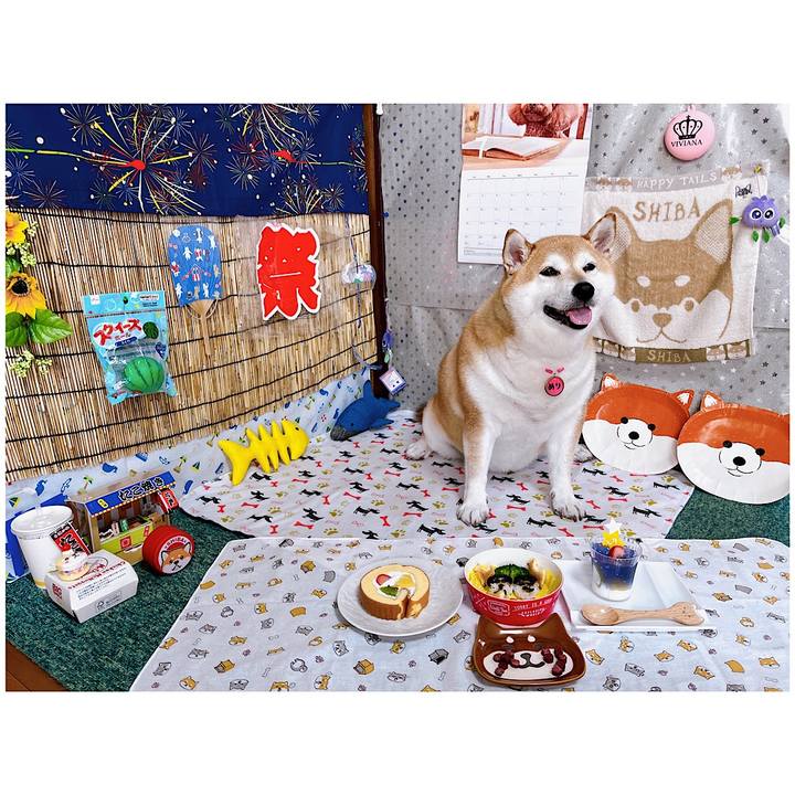 C16d47a8 e13e 494e a5e2 8f5049eca674 1688705729975