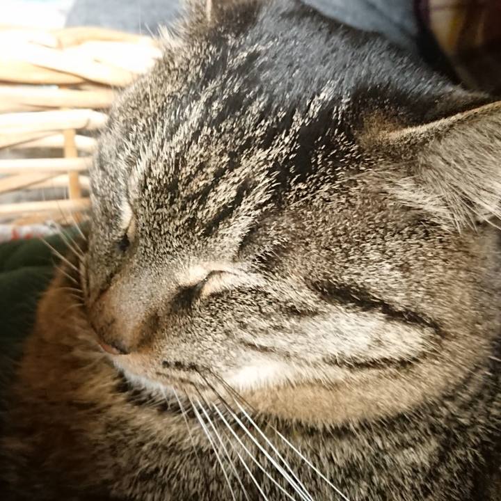 C16d4f71 2644 40f2 89fe 836e02040568 1640693182231