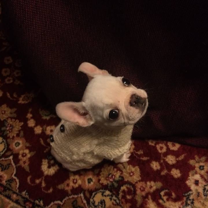 C16d59b3 c443 45db 8676 aa3dcb08fccf 1769080172431