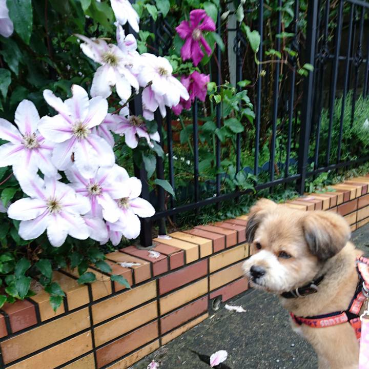 C16db505 3851 4df0 b0f1 9a81cd77828c 1525684289168