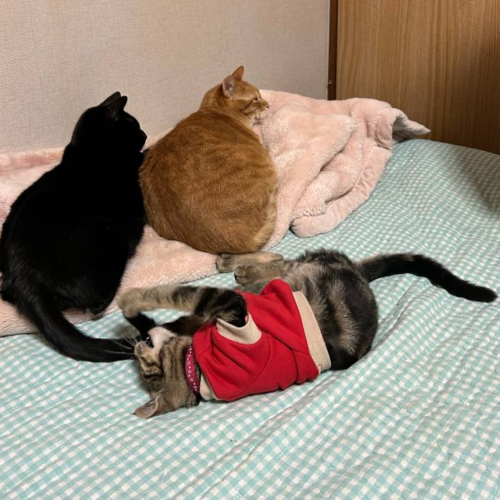 C16e094f 67b9 4689 bf67 a6023ca9a39e 1730367834096