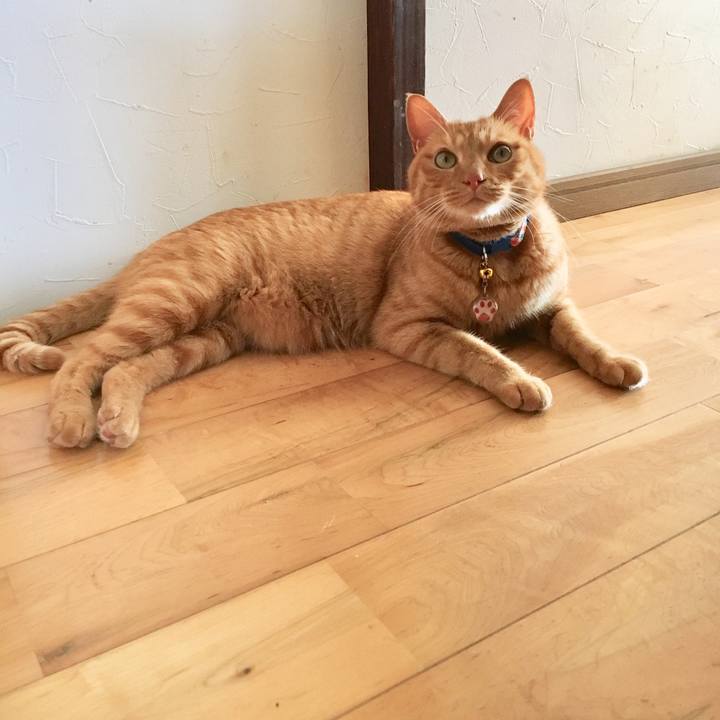 C16e0f35 69fe 4fcd 8234 57c60a7c9b4d 1564626015946