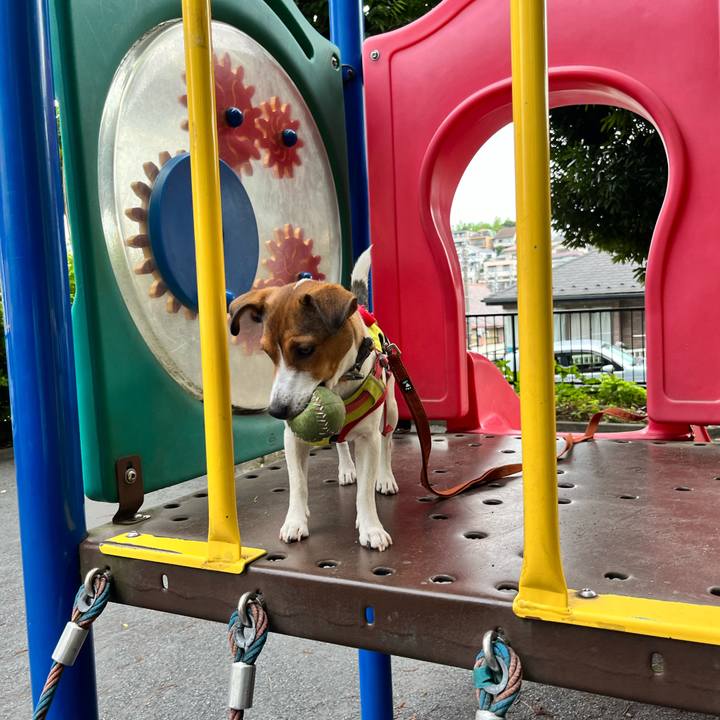 C16e3caa 8864 4702 8fd8 49523b6bfed4 1719578929048