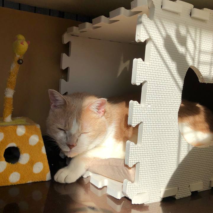 C16eb04d 5561 414b b152 580868dd7775 1538885805079