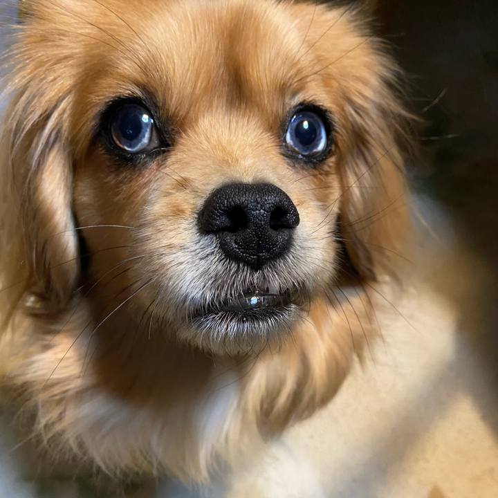 C16ed177 9358 4dfd 84e6 7d13eeb2ab04 1581108829673