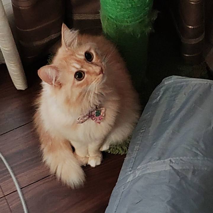 C16f1537 f489 42e9 b8ee 86f754f618e1 1665698236701