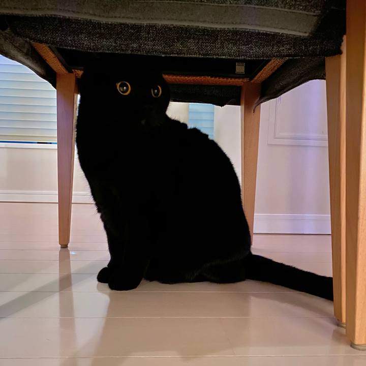 C16f1902 a992 49ec 8cfe 4891f89ab0d7 1733485686516