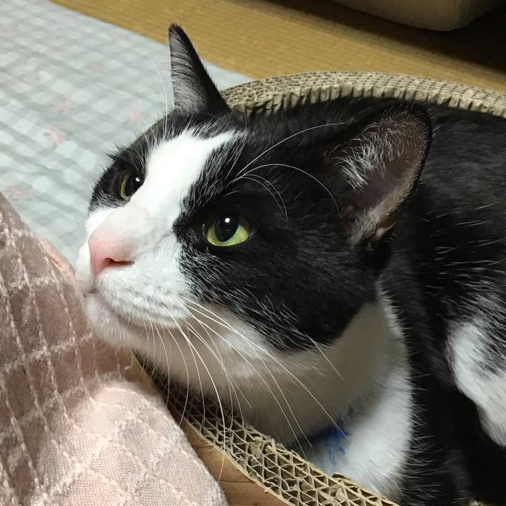 C16f1932 722c 4e65 888d 20e05e611774 1701516637578