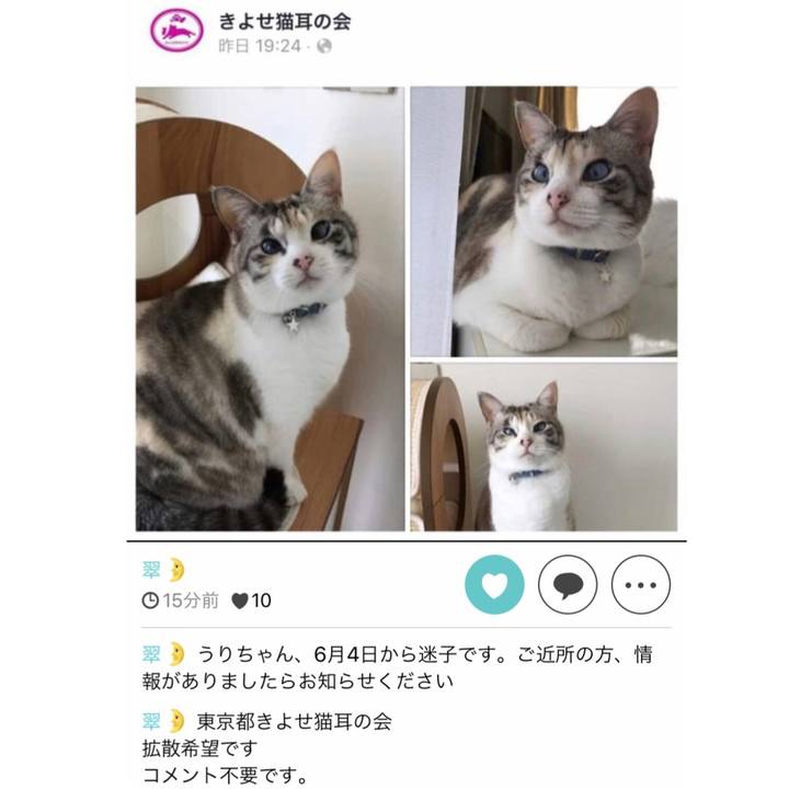 C16fa733 b9e3 4c58 8d48 2c6a0e8ded63 1560139231470